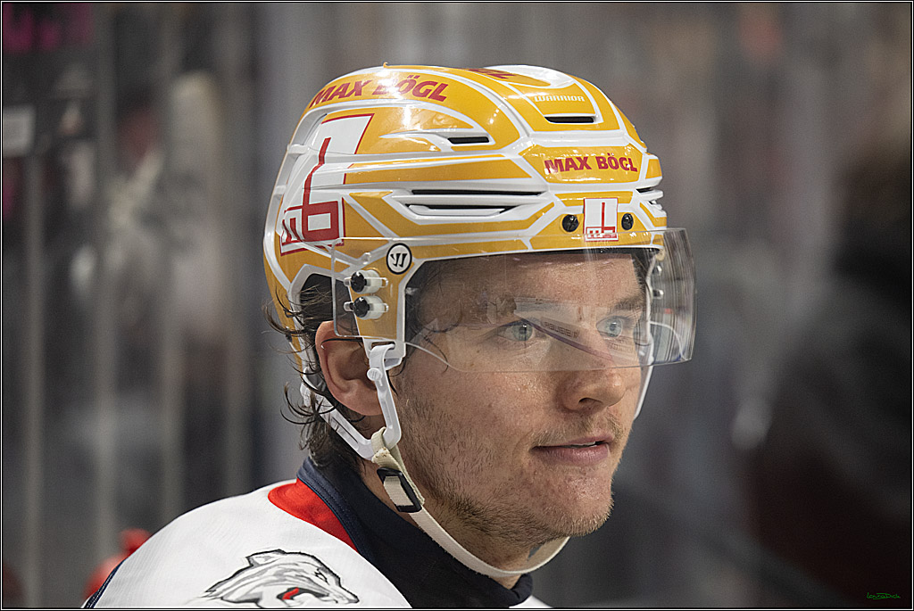 PENNY DEL 1; Kölner Haie - Nürnberg Ice Tigers; Köln, 11.10.2026