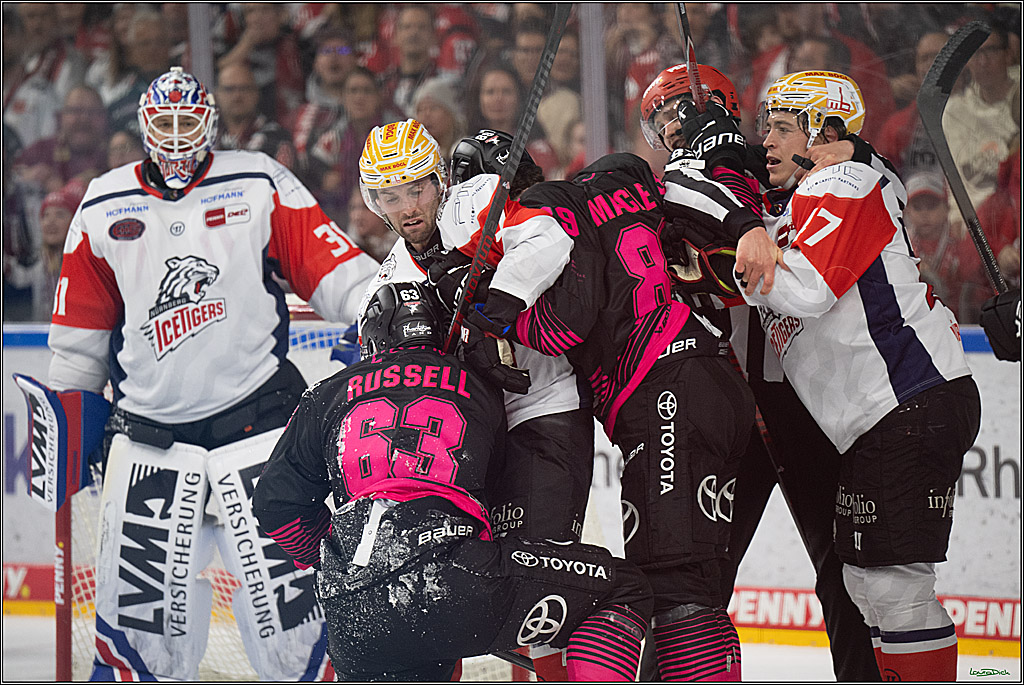 PENNY DEL 1; Kölner Haie - Nürnberg Ice Tigers; Köln, 11.10.2026