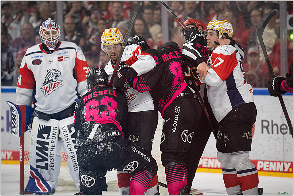 PENNY DEL 1; Kölner Haie - Nürnberg Ice Tigers; Köln, 11.10.2026