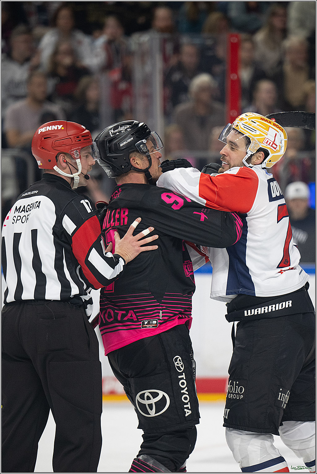 PENNY DEL 1; Kölner Haie - Nürnberg Ice Tigers; Köln, 11.10.2026