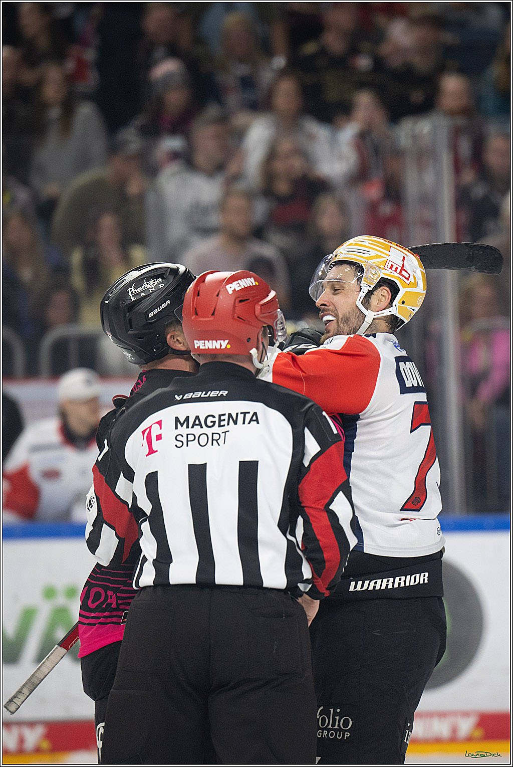 PENNY DEL 1; Kölner Haie - Nürnberg Ice Tigers; Köln, 11.10.2026