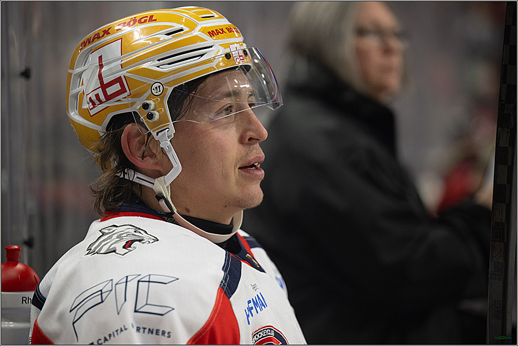 PENNY DEL 1; Kölner Haie - Nürnberg Ice Tigers; Köln, 11.10.2026