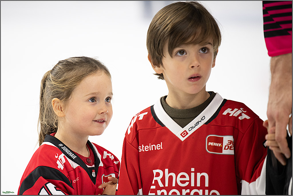 PENNY DEL 1; Kölner Haie - Nürnberg Ice Tigers; Köln, 11.10.2026