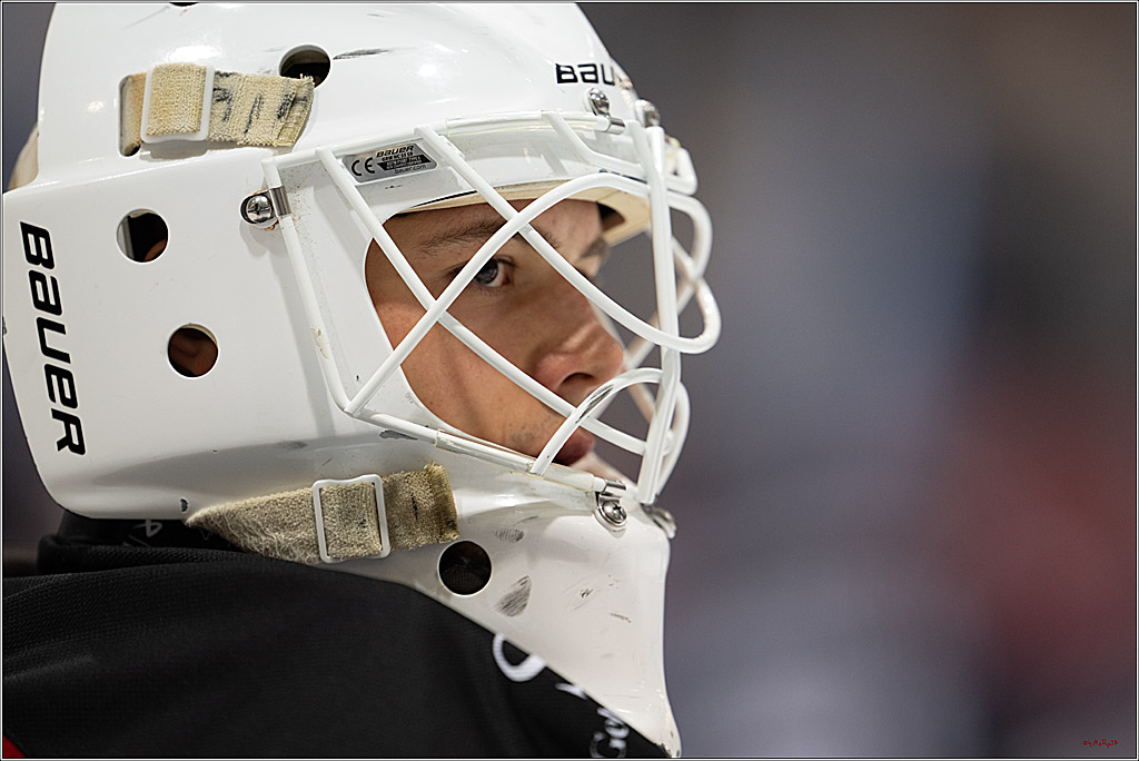 PENNY DEL 1; Iserlohn Roosters - Kölner Haie; Iserlohn, 16.10.2026
