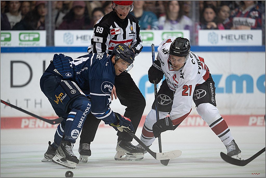 PENNY DEL 1; Iserlohn Roosters - Kölner Haie; Iserlohn, 16.10.2026