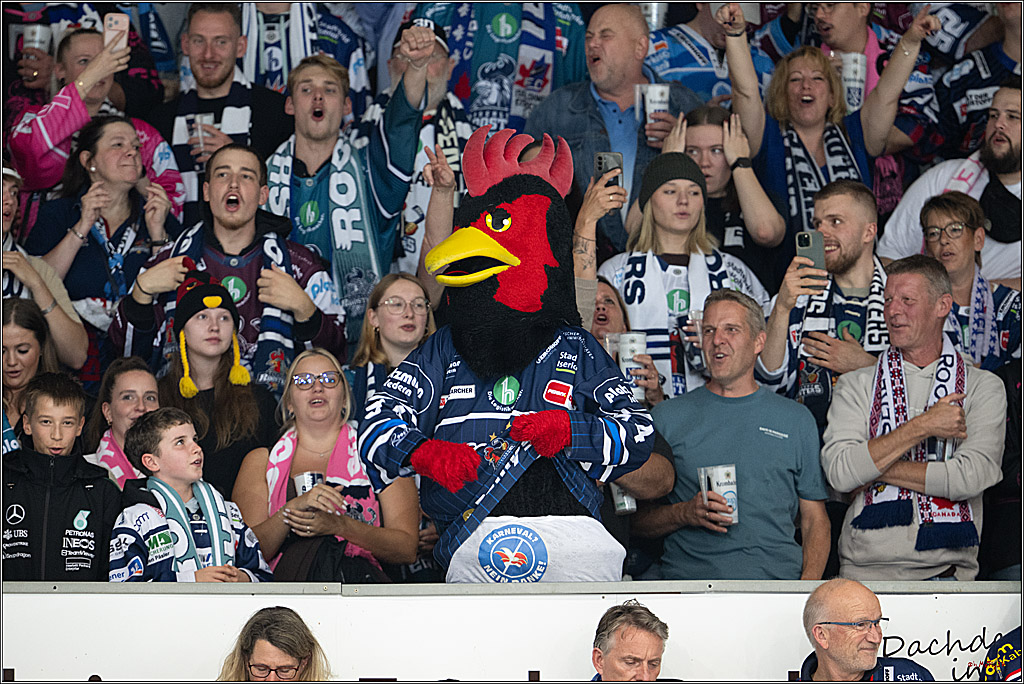 PENNY DEL 1; Iserlohn Roosters - Kölner Haie; Iserlohn, 16.10.2026