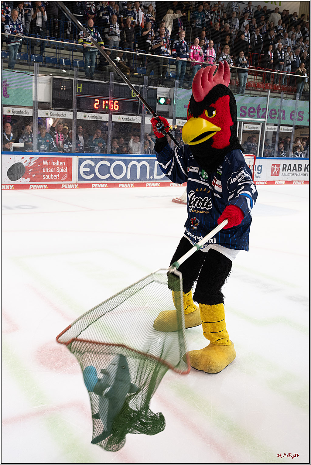 PENNY DEL 1; Iserlohn Roosters - Kölner Haie; Iserlohn, 16.10.2026