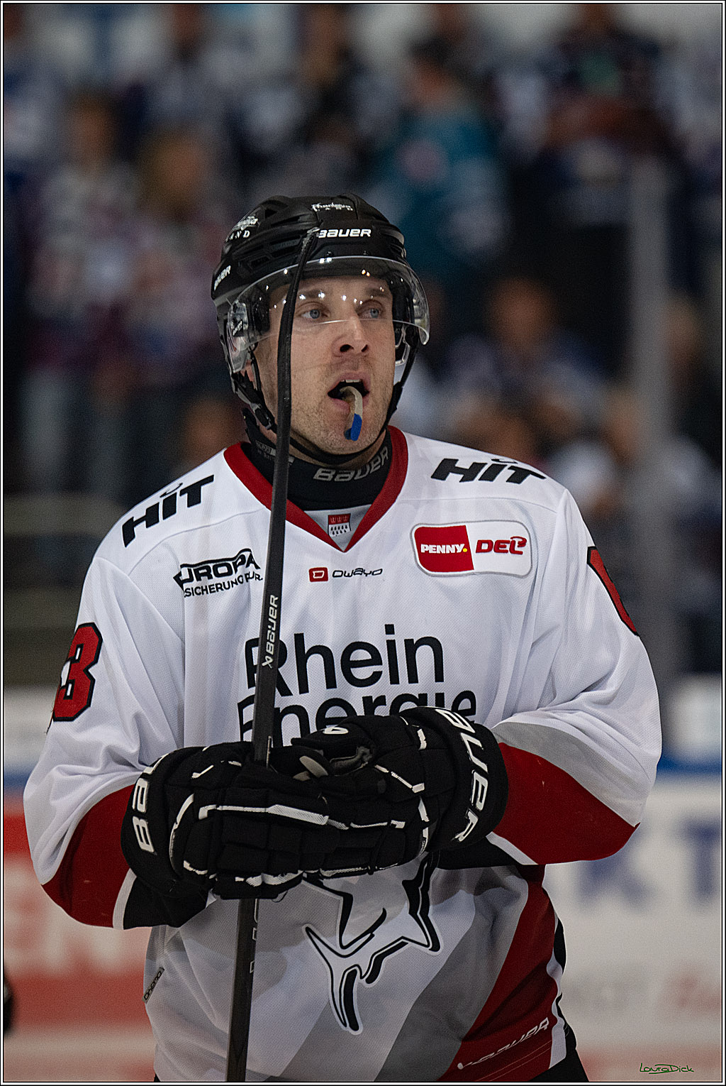 PENNY DEL 1; Iserlohn Roosters - Kölner Haie; Iserlohn, 16.10.2026