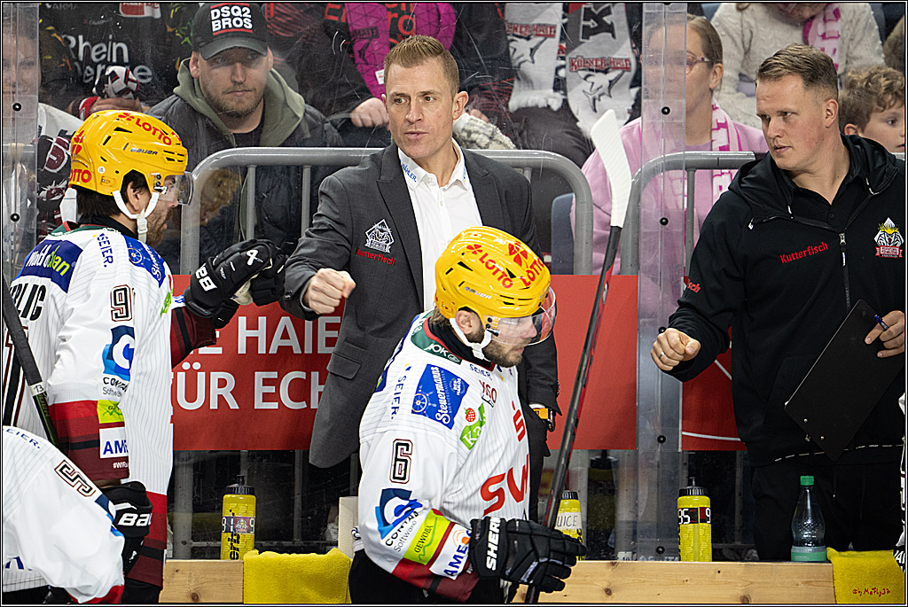 PENNY DEL 1; Kölner Haie - Fischtown Pinguins Bremerhaven; Köln, 18.10.2026