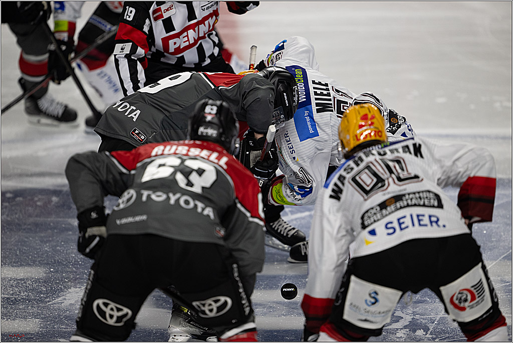 PENNY DEL 1; Kölner Haie - Fischtown Pinguins Bremerhaven; Köln, 18.10.2026