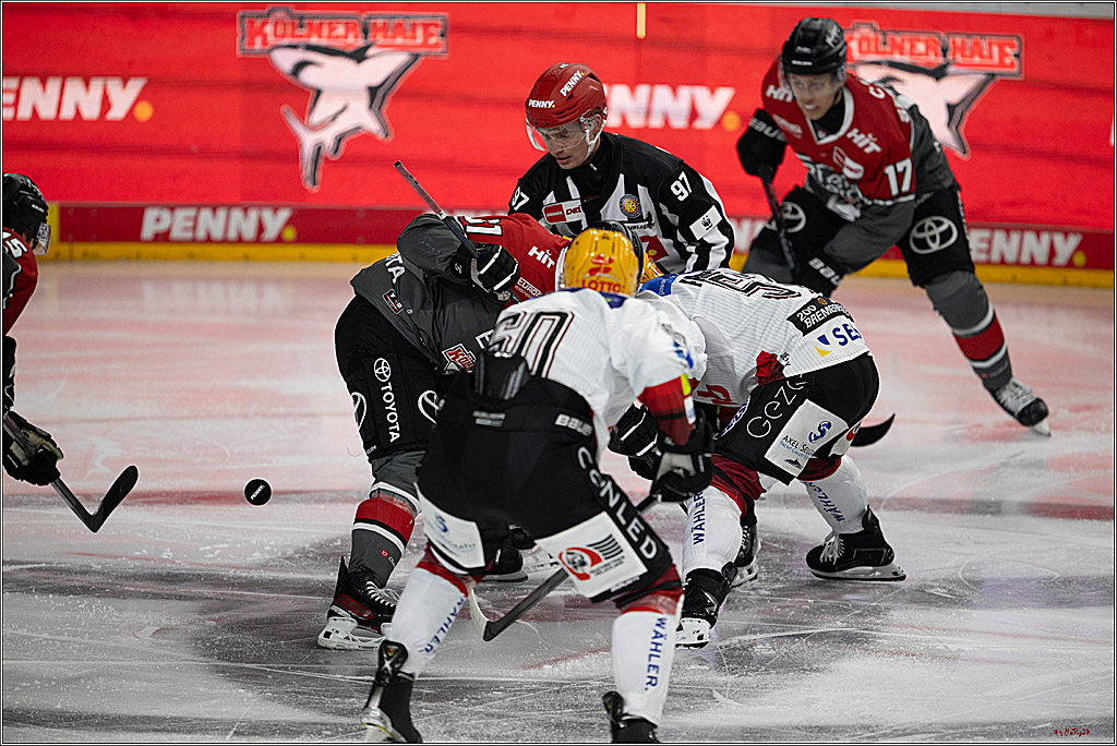 PENNY DEL 1; Kölner Haie - Fischtown Pinguins Bremerhaven; Köln, 18.10.2026