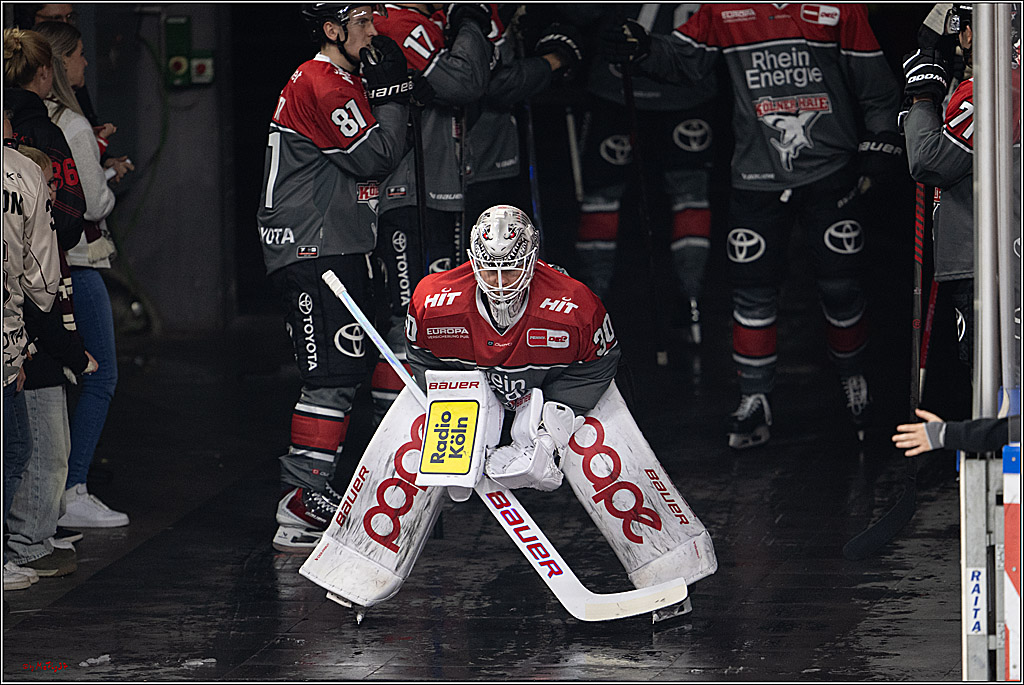 PENNY DEL 1; Kölner Haie - Fischtown Pinguins Bremerhaven; Köln, 18.10.2026