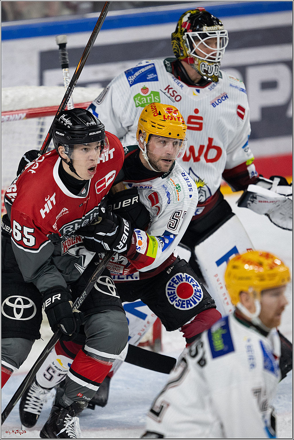 PENNY DEL 1; Kölner Haie - Fischtown Pinguins Bremerhaven; Köln, 18.10.2026