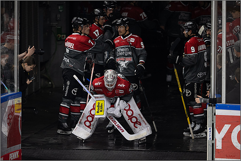 PENNY DEL 1; Kölner Haie - Fischtown Pinguins Bremerhaven; Köln, 18.10.2026