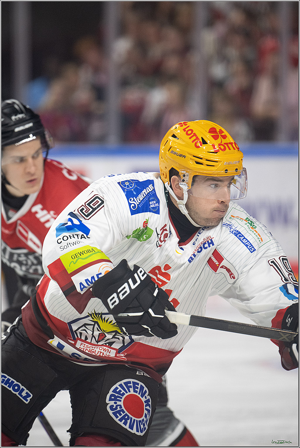 PENNY DEL 1; Kölner Haie - Fischtown Pinguins Bremerhaven; Köln, 18.10.2026