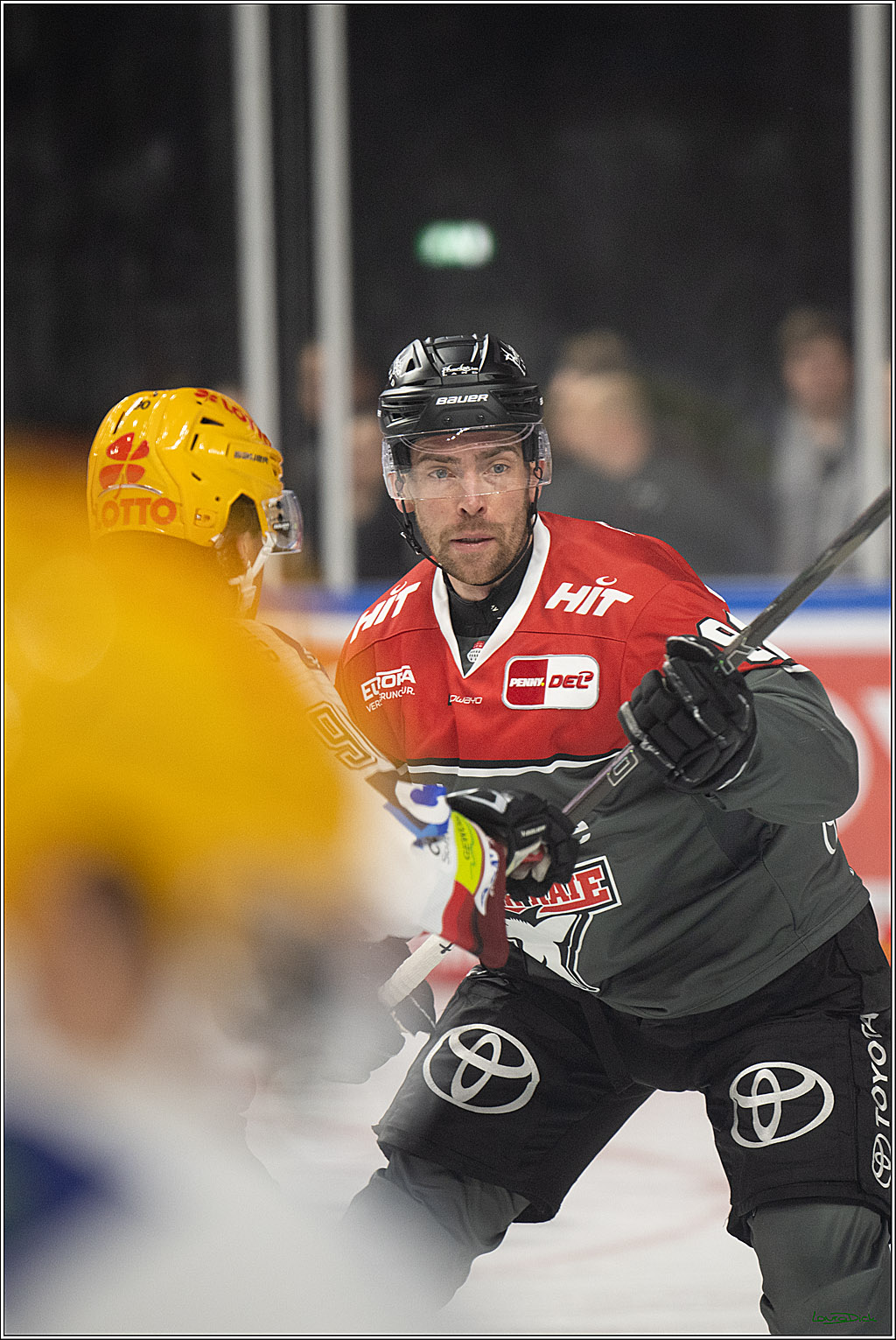 PENNY DEL 1; Kölner Haie - Fischtown Pinguins Bremerhaven; Köln, 18.10.2026