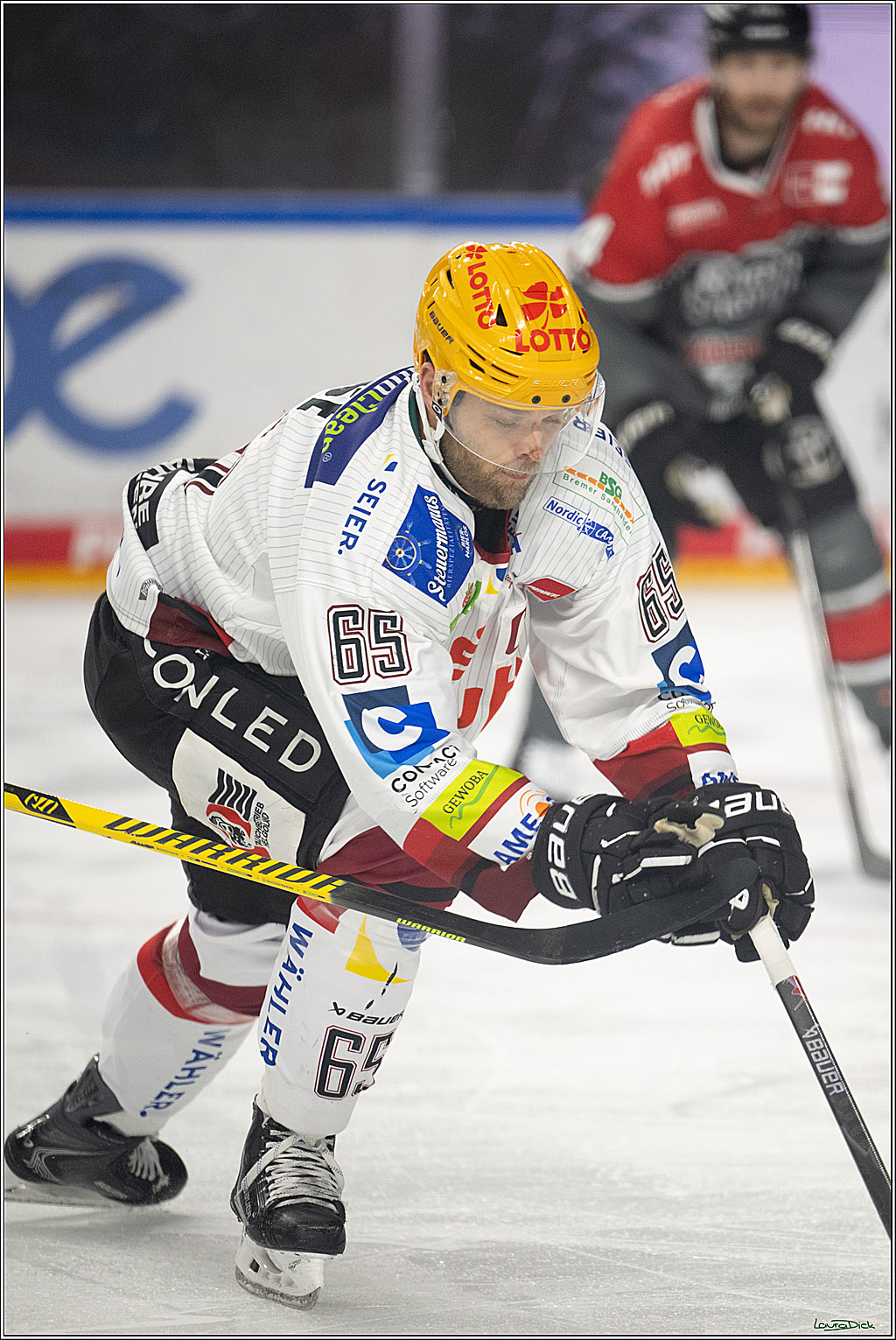 PENNY DEL 1; Kölner Haie - Fischtown Pinguins Bremerhaven; Köln, 18.10.2026