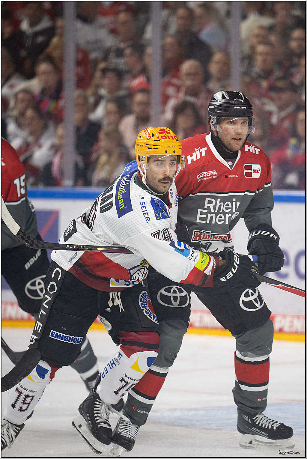 PENNY DEL 1; Kölner Haie - Fischtown Pinguins Bremerhaven; Köln, 18.10.2026