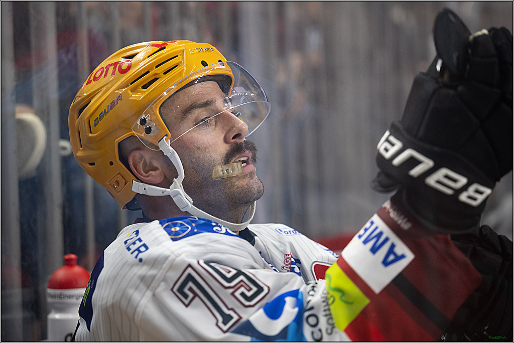 PENNY DEL 1; Kölner Haie - Fischtown Pinguins Bremerhaven; Köln, 18.10.2026
