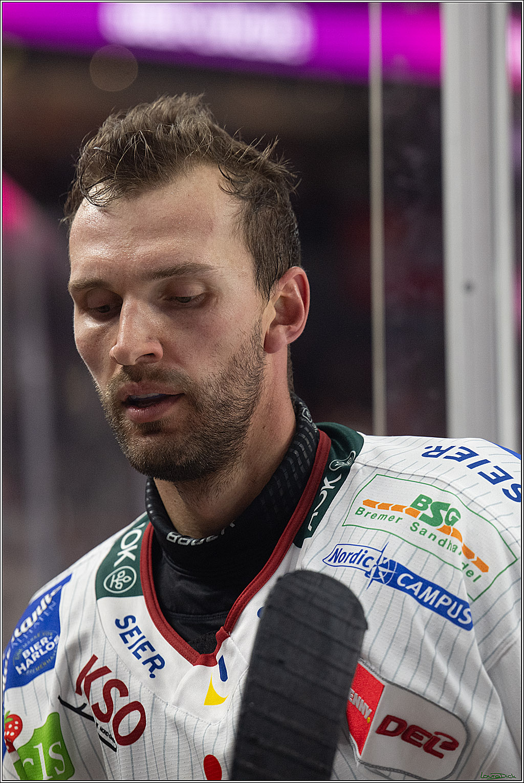 PENNY DEL 1; Kölner Haie - Fischtown Pinguins Bremerhaven; Köln, 18.10.2026