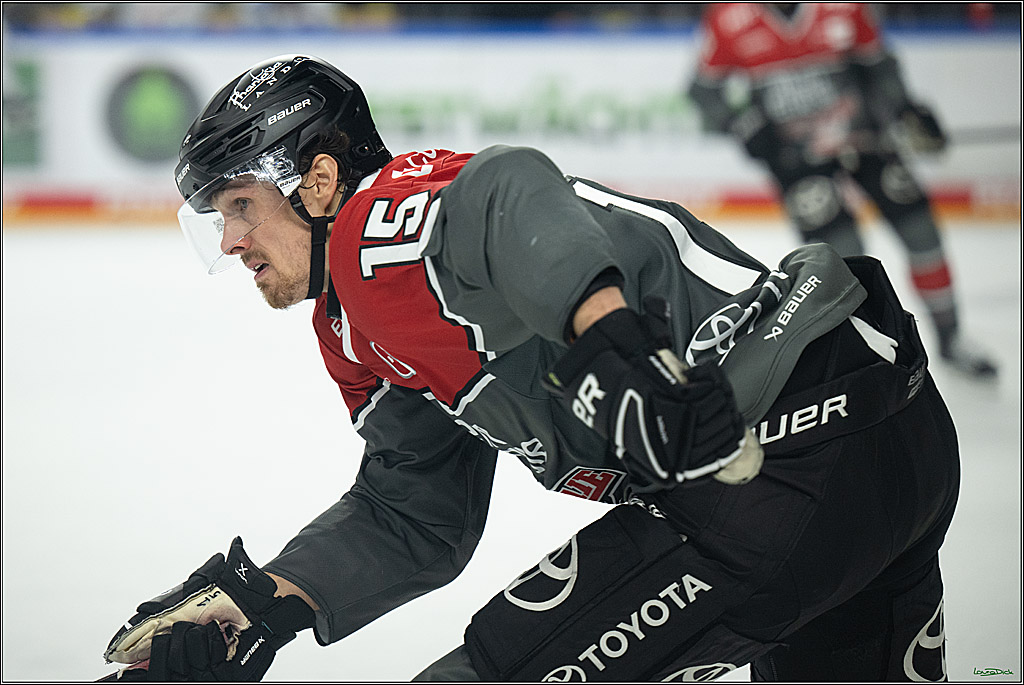 PENNY DEL 1; Kölner Haie - Fischtown Pinguins Bremerhaven; Köln, 18.10.2026