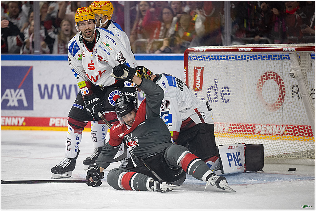 PENNY DEL 1; Kölner Haie - Fischtown Pinguins Bremerhaven; Köln, 18.10.2026