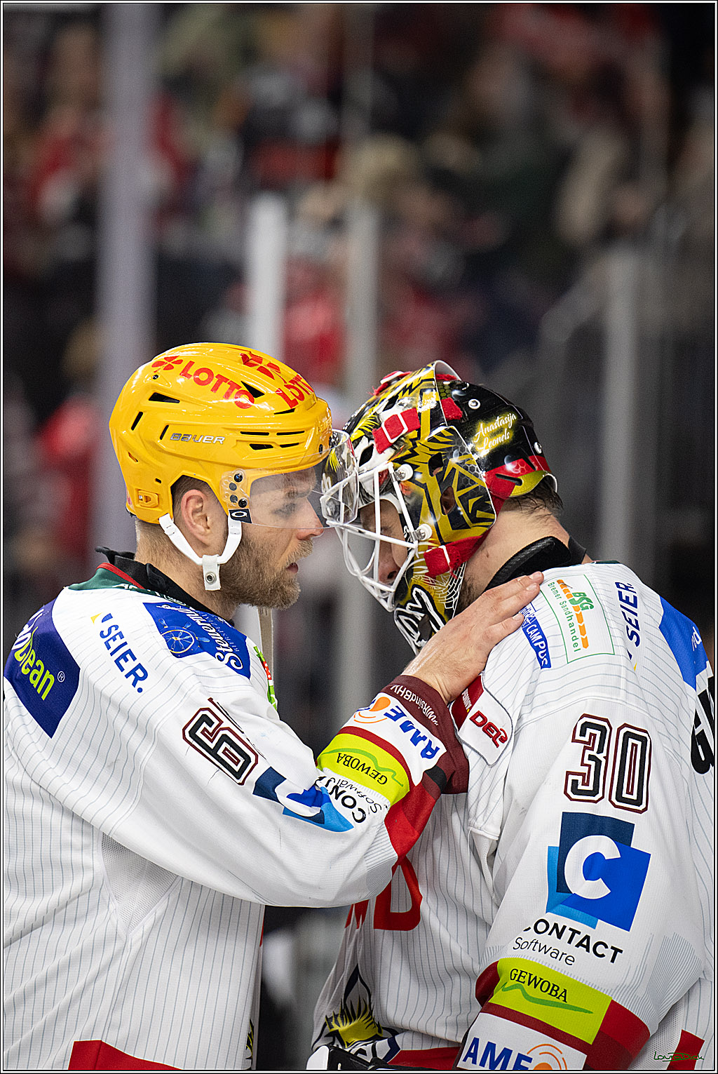 PENNY DEL 1; Kölner Haie - Fischtown Pinguins Bremerhaven; Köln, 18.10.2026