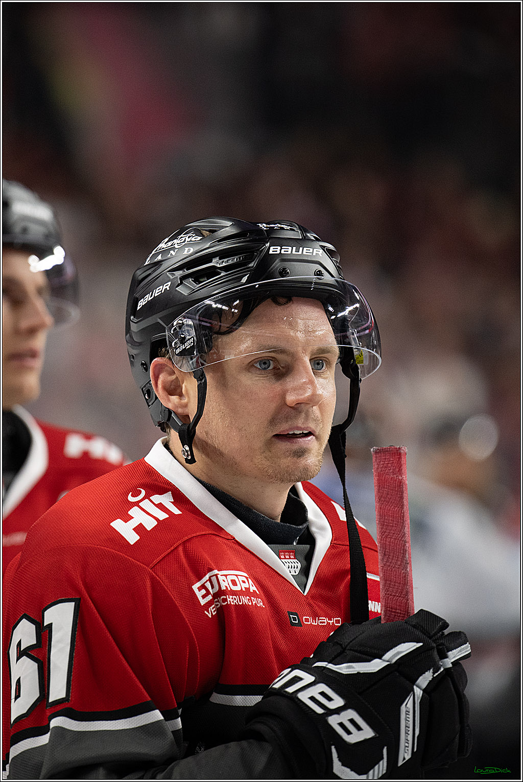 PENNY DEL 1; Kölner Haie - Fischtown Pinguins Bremerhaven; Köln, 18.10.2026