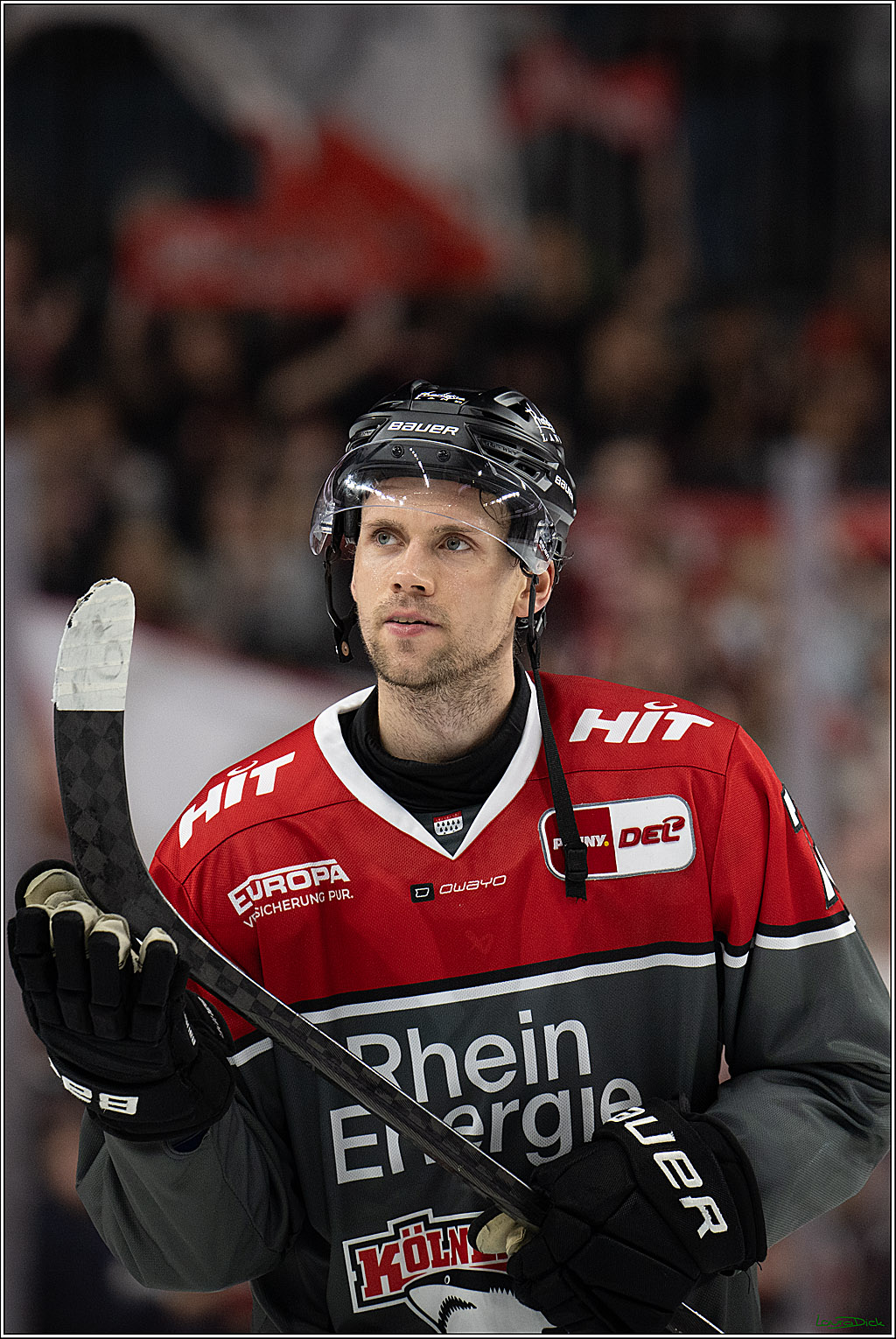 PENNY DEL 1; Kölner Haie - Fischtown Pinguins Bremerhaven; Köln, 18.10.2026