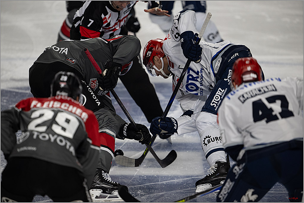 PENNY DEL 1; Kölner Haie - Schwenninger Wild Wings; Köln, 20.10.2026