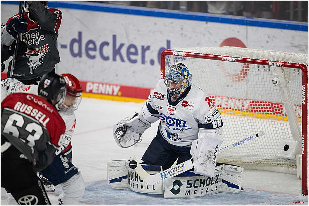 PENNY DEL 1; Kölner Haie - Schwenninger Wild Wings; Köln, 20.10.2026