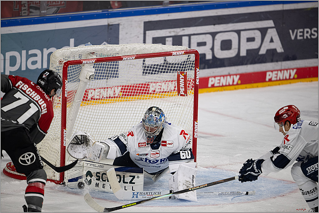 PENNY DEL 1; Kölner Haie - Schwenninger Wild Wings; Köln, 20.10.2026