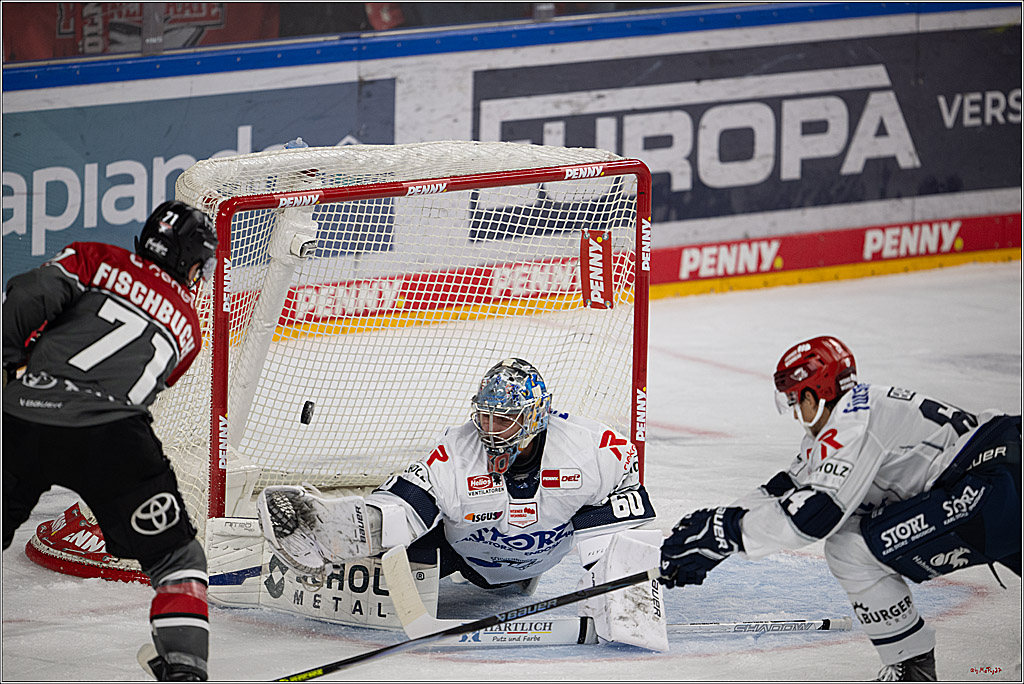 PENNY DEL 1; Kölner Haie - Schwenninger Wild Wings; Köln, 20.10.2026