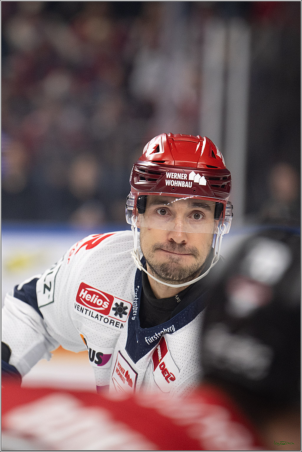PENNY DEL 1; Kölner Haie - Schwenninger Wild Wings; Köln, 20.10.2026