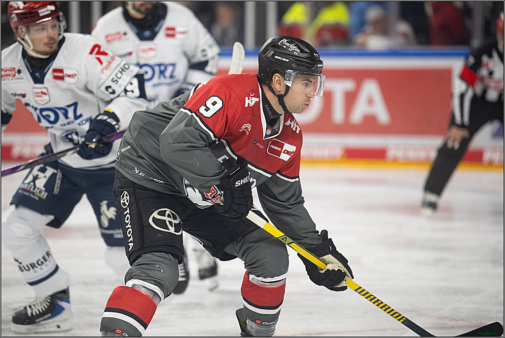 PENNY DEL 1; Kölner Haie - Schwenninger Wild Wings; Köln, 20.10.2026
