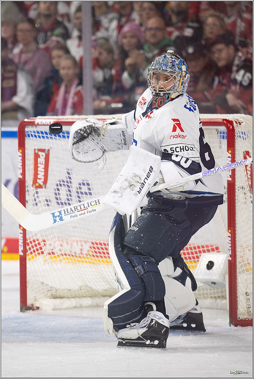 PENNY DEL 1; Kölner Haie - Schwenninger Wild Wings; Köln, 20.10.2026