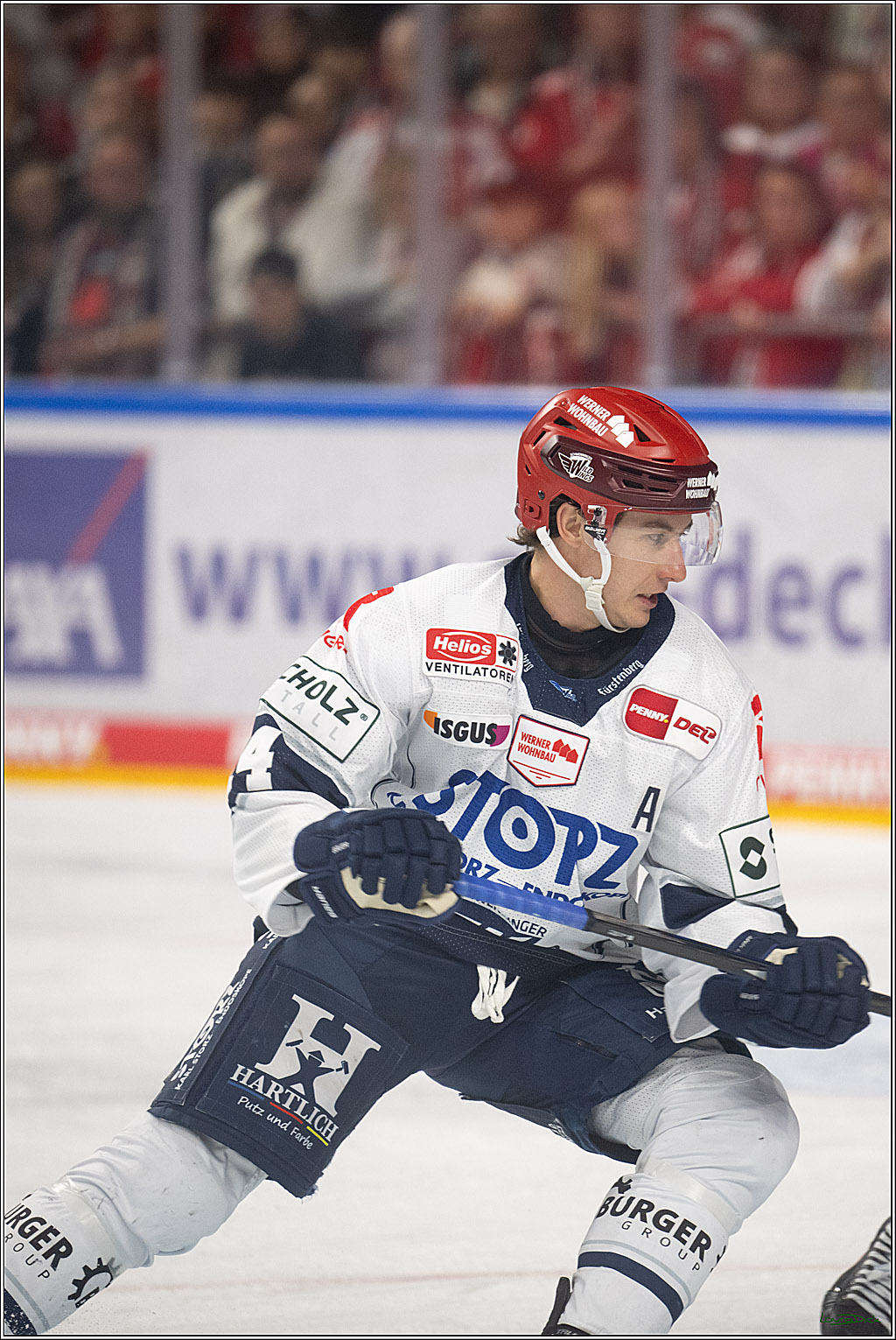 PENNY DEL 1; Kölner Haie - Schwenninger Wild Wings; Köln, 20.10.2026