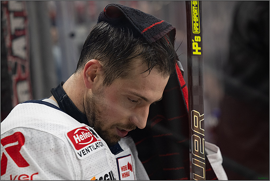 PENNY DEL 1; Kölner Haie - Schwenninger Wild Wings; Köln, 20.10.2026