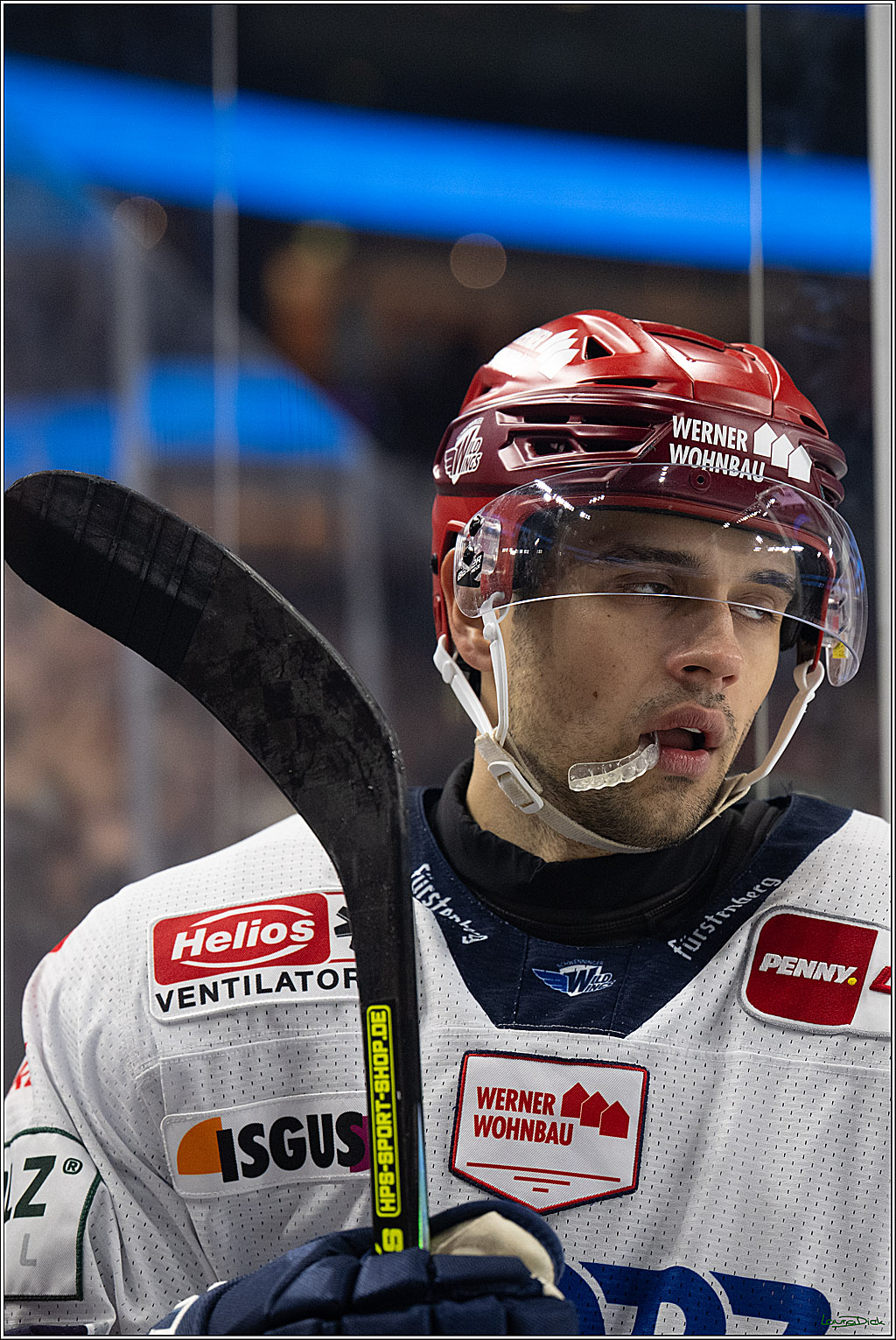 PENNY DEL 1; Kölner Haie - Schwenninger Wild Wings; Köln, 20.10.2026