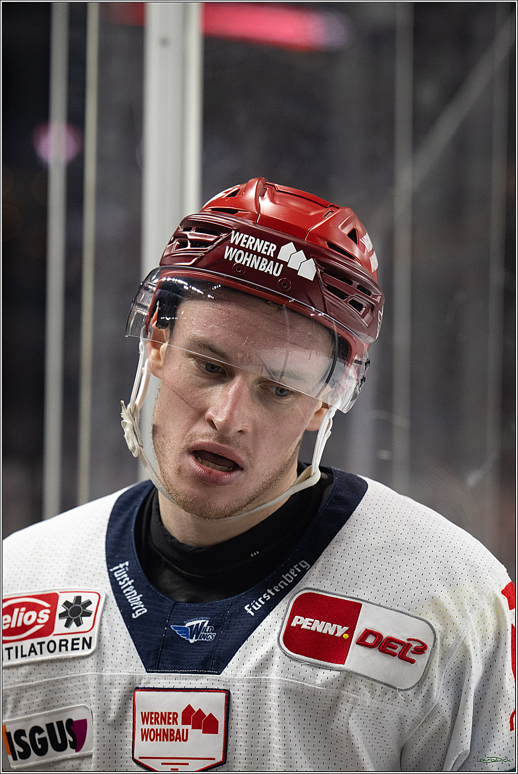 PENNY DEL 1; Kölner Haie - Schwenninger Wild Wings; Köln, 20.10.2026