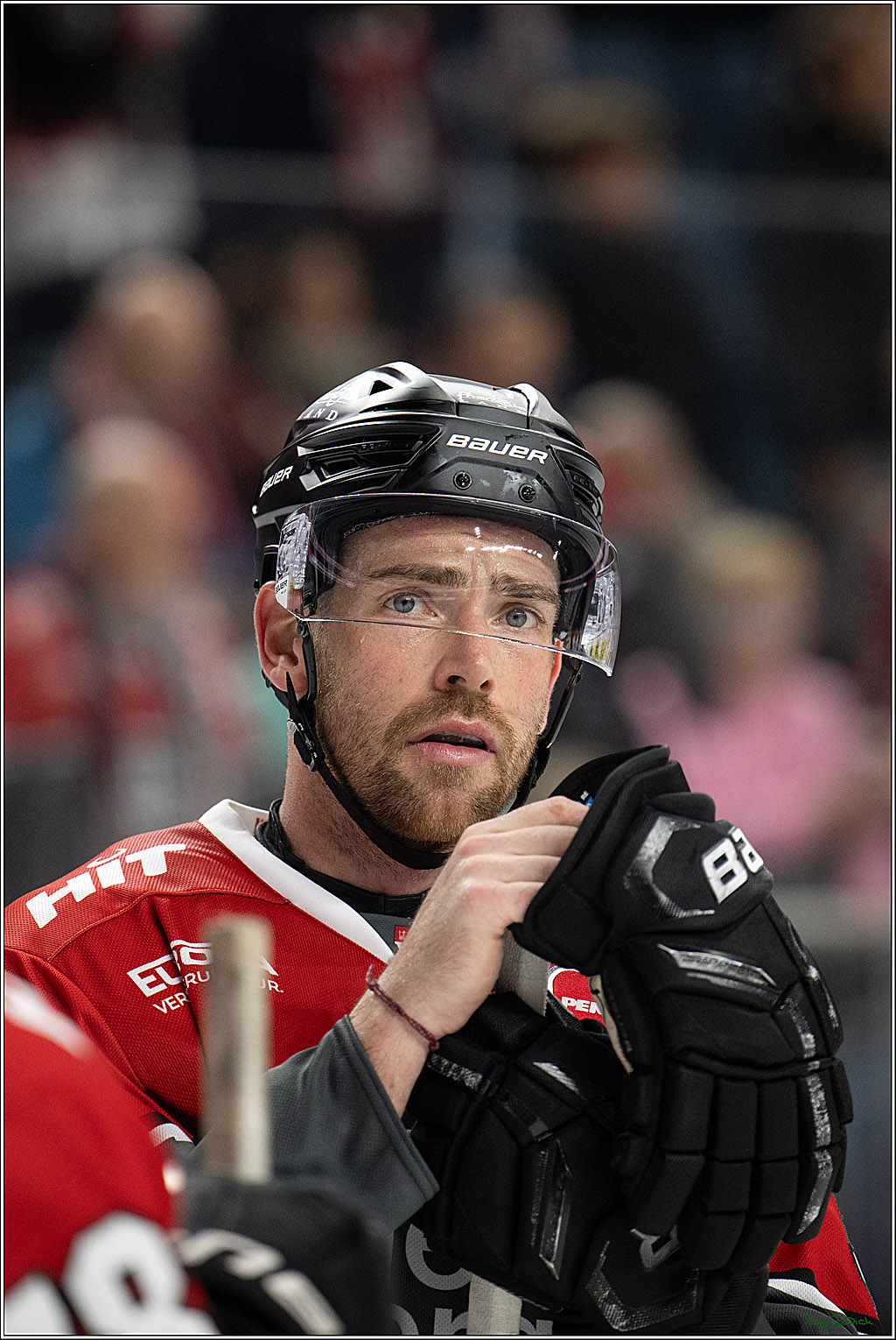 PENNY DEL 1; Kölner Haie - Schwenninger Wild Wings; Köln, 20.10.2026