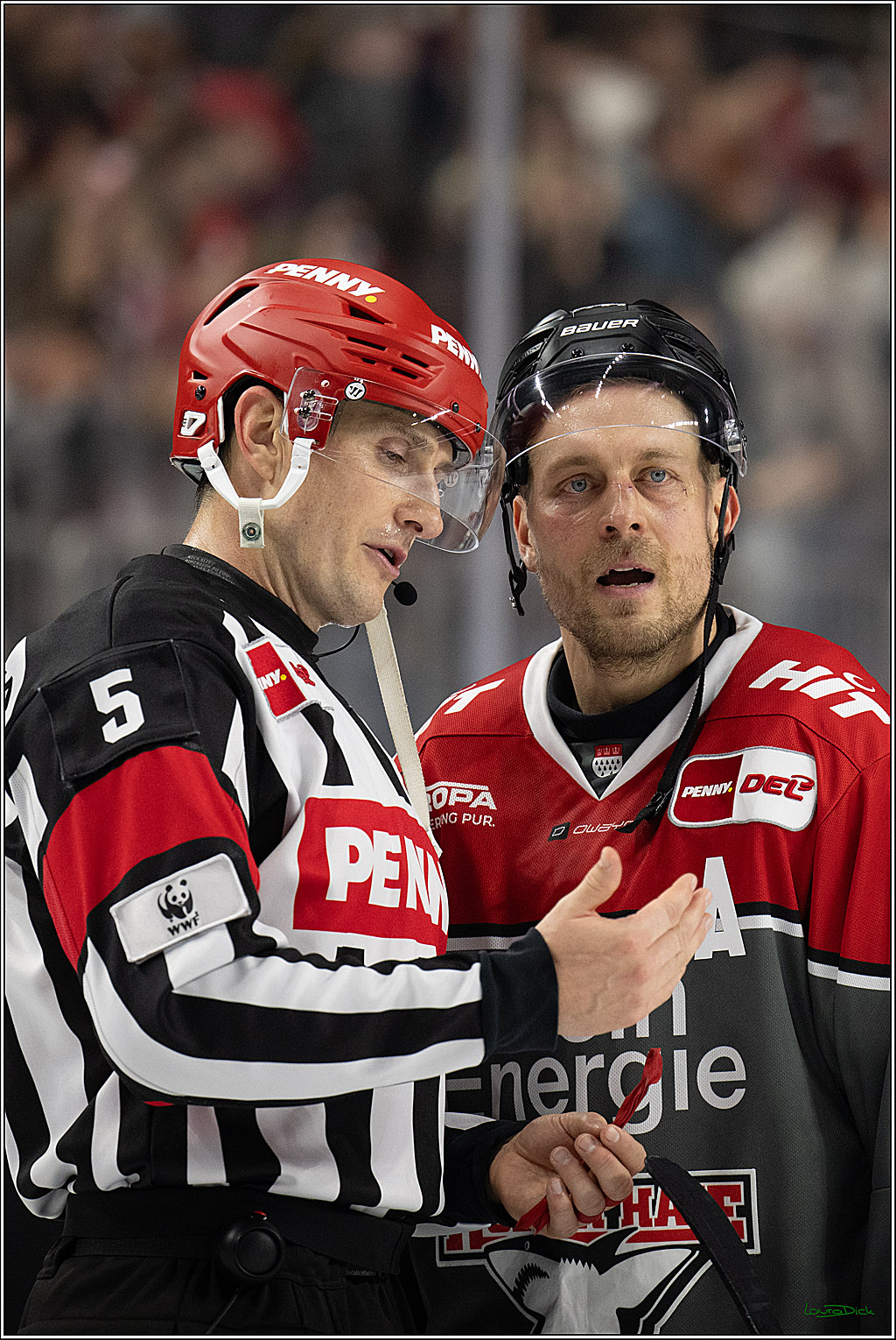 PENNY DEL 1; Kölner Haie - Schwenninger Wild Wings; Köln, 20.10.2026