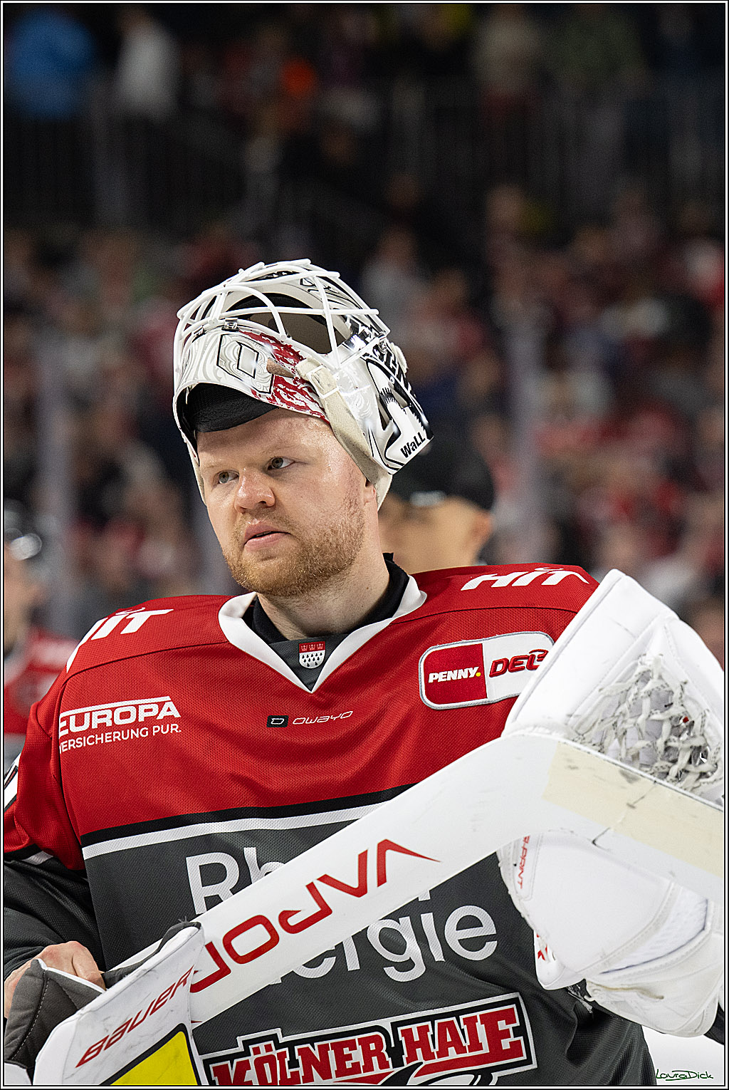 PENNY DEL 1; Kölner Haie - Schwenninger Wild Wings; Köln, 20.10.2026