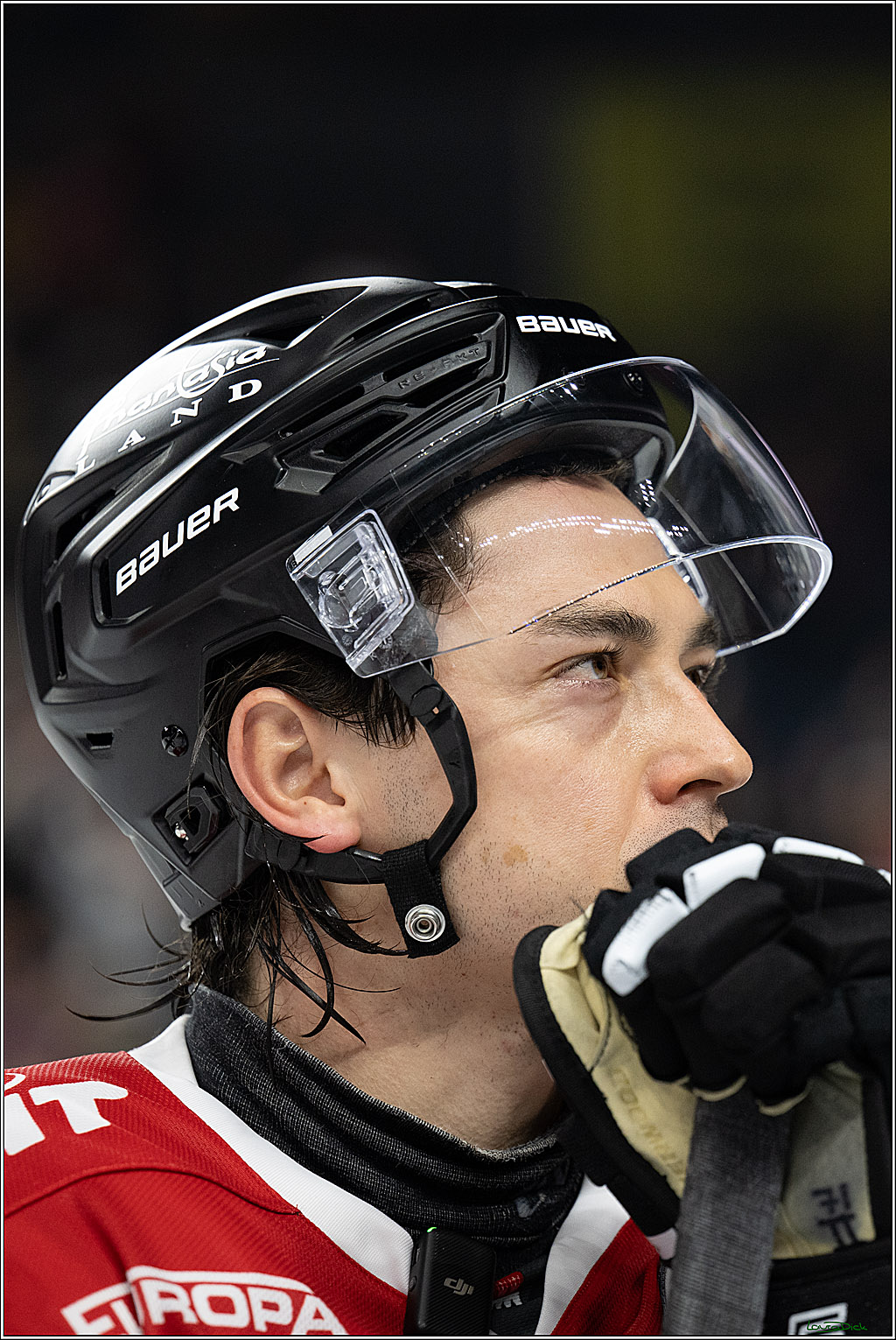 PENNY DEL 1; Kölner Haie - Schwenninger Wild Wings; Köln, 20.10.2026