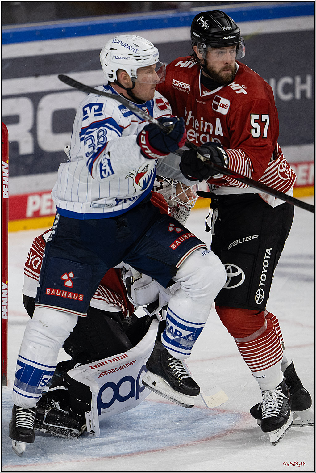 PENNY DEL 1; Kölner Haie - Adler Mannheim; Köln, 27.10.2026