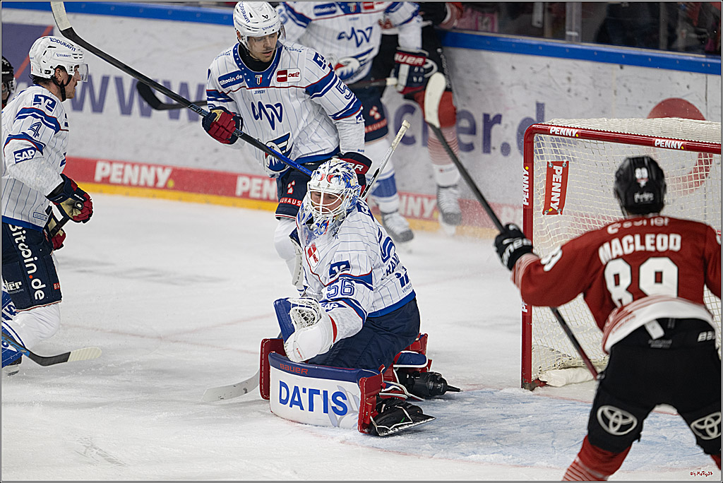 PENNY DEL 1; Kölner Haie - Adler Mannheim; Köln, 27.10.2026