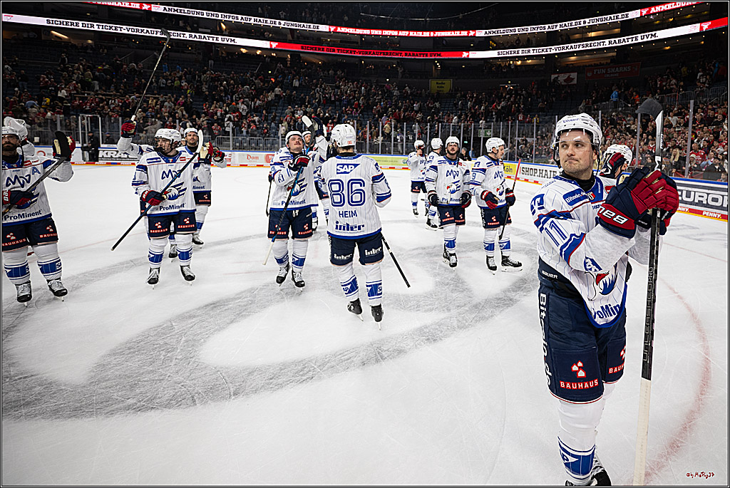 PENNY DEL 1; Kölner Haie - Adler Mannheim; Köln, 27.10.2026