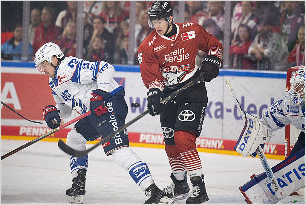 PENNY DEL 1; Kölner Haie - Adler Mannheim; Köln, 27.10.2026