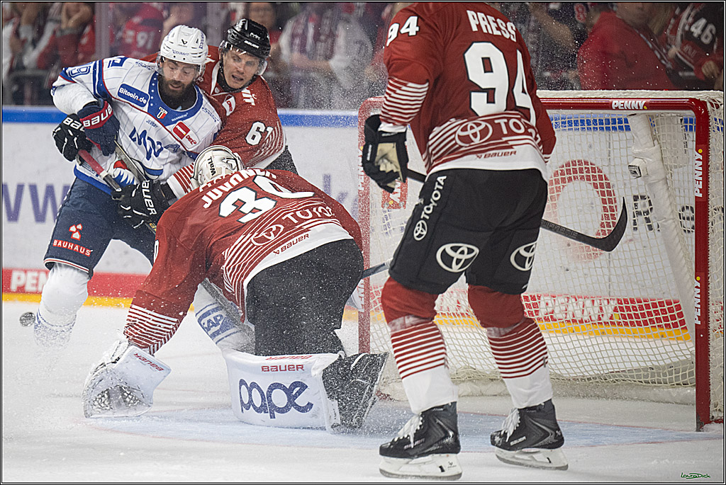 PENNY DEL 1; Kölner Haie - Adler Mannheim; Köln, 27.10.2026
