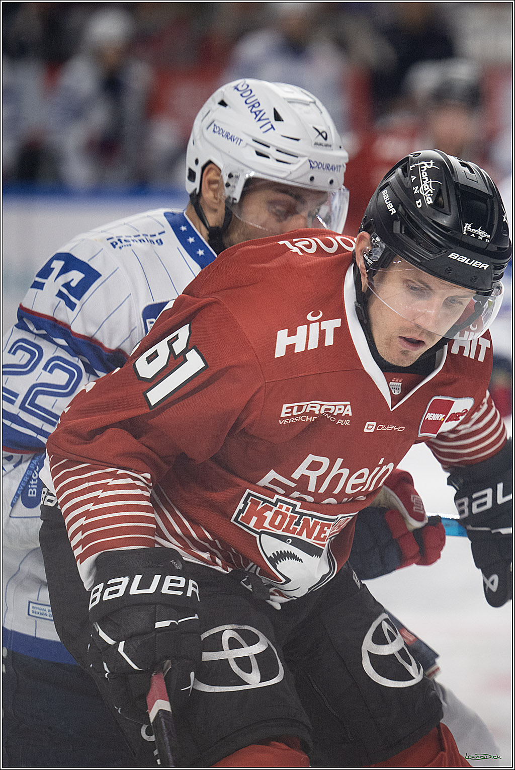 PENNY DEL 1; Kölner Haie - Adler Mannheim; Köln, 27.10.2026